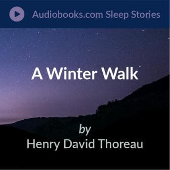Winter Walk audiobook cover