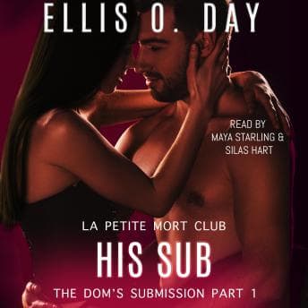 His Sub: A steamy, curvy single mother, second chance romantic comedy audiobook cover