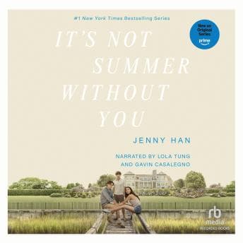It's Not Summer Without You audiobook cover