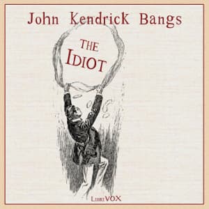 Idiot audiobook cover